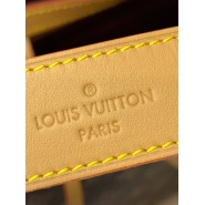 Сумка Louis Vuitton